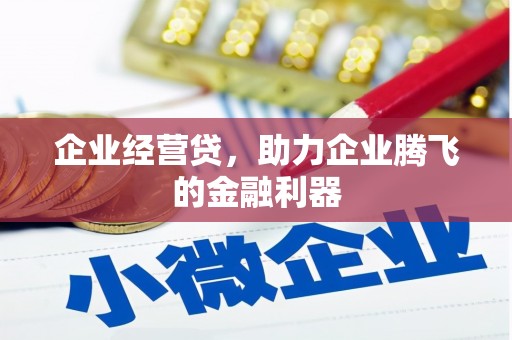 常宁企业经营贷，助力企业腾飞的金融利器