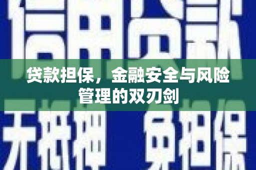 丰原贷款担保，金融安全与风险管理的双刃剑