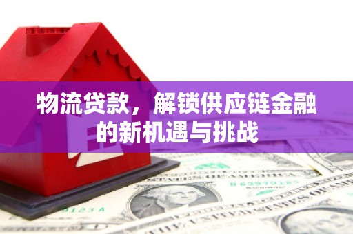 美浓物流贷款，解锁供应链金融的新机遇与挑战