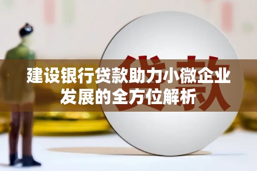 寻甸建设银行贷款助力小微企业发展的全方位解析