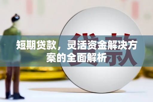 德州短期贷款，灵活资金解决方案的全面解析