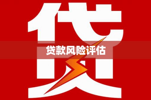前镇贷款风险评估