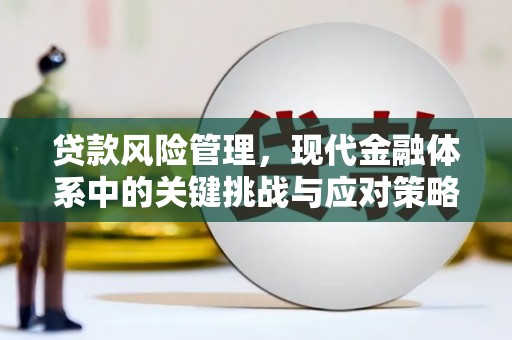 茂县贷款风险管理，现代金融体系中的关键挑战与应对策略