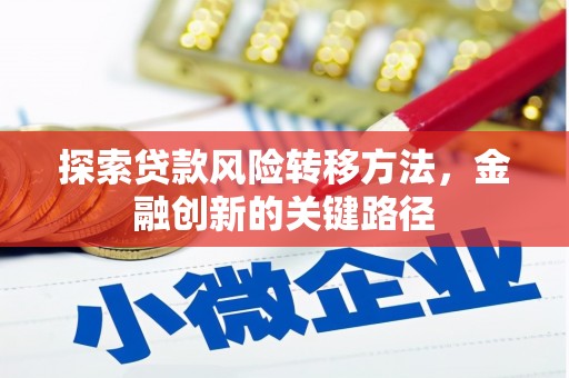 宁乡探索贷款风险转移方法，金融创新的关键路径