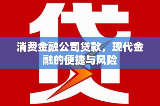 西昌消费金融公司贷款，现代金融的便捷与风险