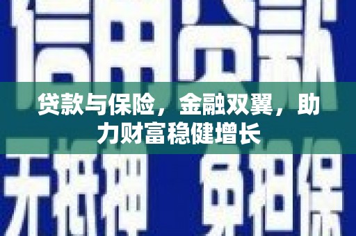 二仑贷款与保险，金融双翼，助力财富稳健增长