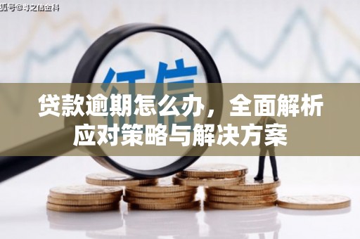 秦皇岛贷款逾期怎么办，全面解析应对策略与解决方案