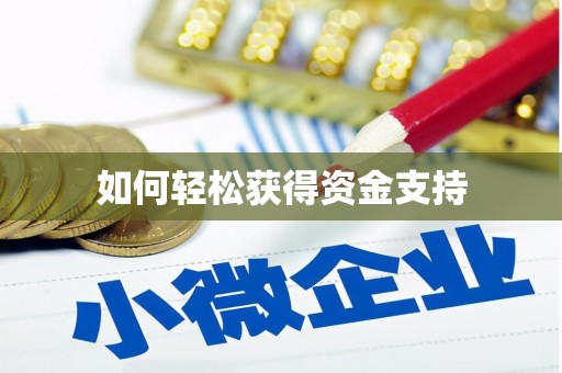 龙沙如何轻松获得资金支持