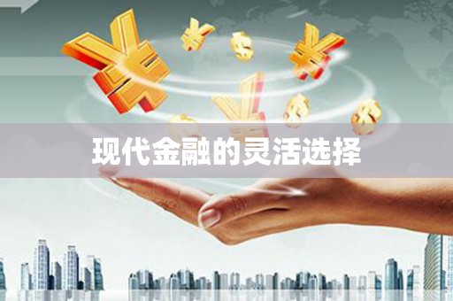 新洲现代金融的灵活选择