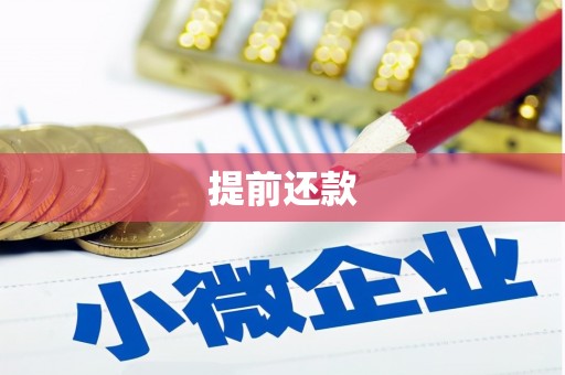 玉环提前还款