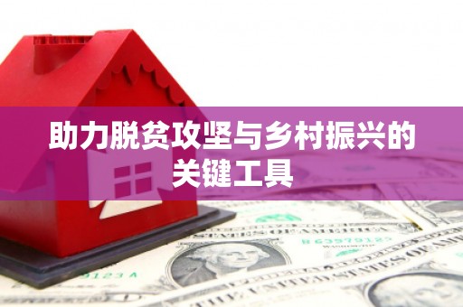 云和助力脱贫攻坚与乡村振兴的关键工具