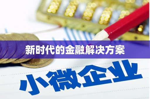 龙川新时代的金融解决方案