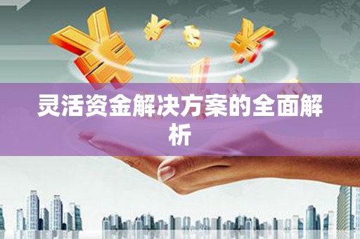 白银灵活资金解决方案的全面解析