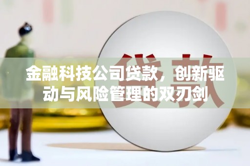 广水金融科技公司贷款，创新驱动与风险管理的双刃剑
